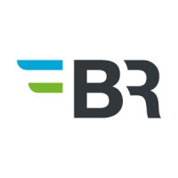 BR International Consulting Services Logo
