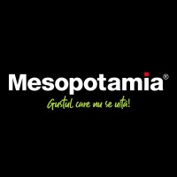 Mesopotamia Romania Logo