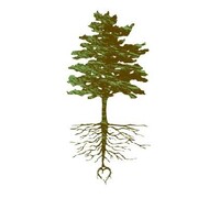 Rushville Church Of Christ Logo