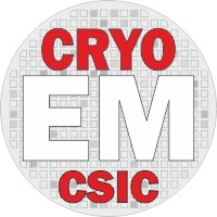 CryoEM Facility CSIC Logo