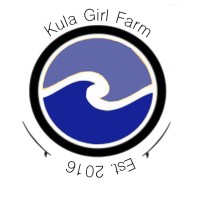 Studio zimzala Logo