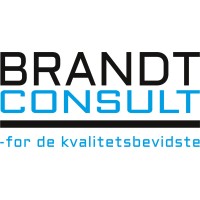 BRANDTCONSULT Logo
