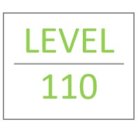 LEVEL 110 Logo