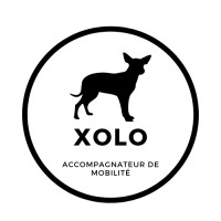 Xolo Logo