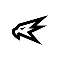 Hawk Logo