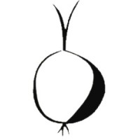 PROCECAM, Asociación de Productores de Cebolla de CLM Logo