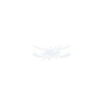 Johnnys Ice House Logo