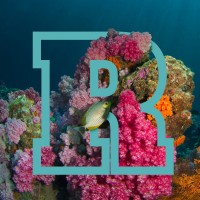 Reef Craft Logo