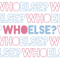 whoelse.ai Logo
