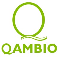 QAMBIO CONSULTING Logo