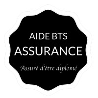 Aide BTS Assurance Logo