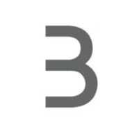 Brummer & Partner mbB Logo
