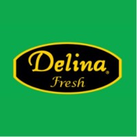 Delina Fresh Logo