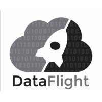 Data Flight Logo