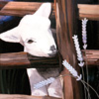 Silkeborg Uldspinderi Logo