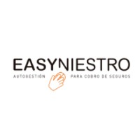 Easyniestro Logo