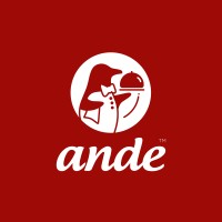 Ande Logo