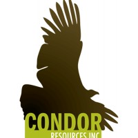 Condor Resources Logo