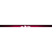 Burton Southeast Logo
