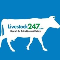 Livestock247 Logo