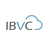 IBVCloud Salesforce.com Consulting Logo