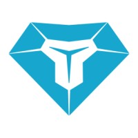 TekSek Cyber Security Logo
