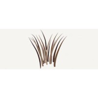 Harvest Communities Logo