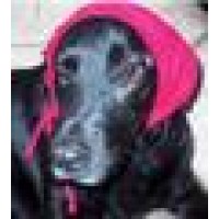 Houston Precious Pet Care Logo