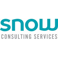 Snow Consulting Services Logo