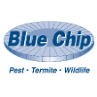 Blue Chip Pest Services Logo