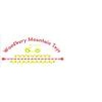 Woodbury Mountain Toys Logo