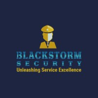 Blackstorm Security Logo