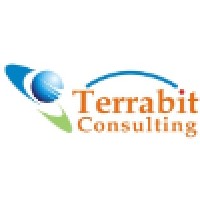 Terrabit Consulting Logo