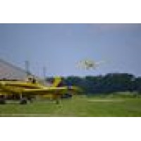 Curless Flying Svc Logo