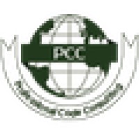 Professional Code Consultants Logo