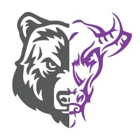 Bear Bull & Co Consulting Logo