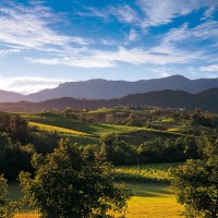 Proseccoshire Colline Conegliano Valdobbiadene Patrimonio Unesco Logo