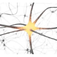 FreeMind SA Logo