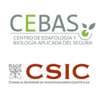 Centro de Edafología y Biología Aplicada del Segura (CEBAS - CSIC) Logo