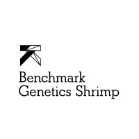 Benchmark Genetics Shrimp Logo