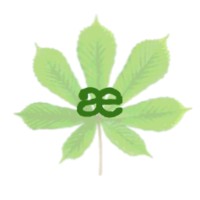 Aesculus Consulting Ltd Logo