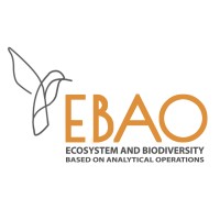 EBAO Logo