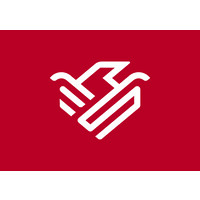 VSI Seguros Logo