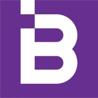 I AND B MONITORING Logo