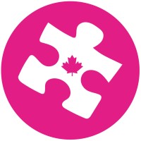 The Best Connection Inc. Logo