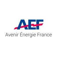 AEF-GROUPE Logo