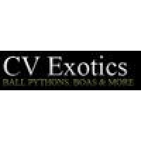 Cv Exotics Logo