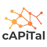 APT Capital Logo