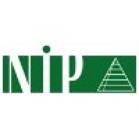 New Information Paradigms Ltd Logo