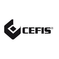 Cefis S.r.l. Logo